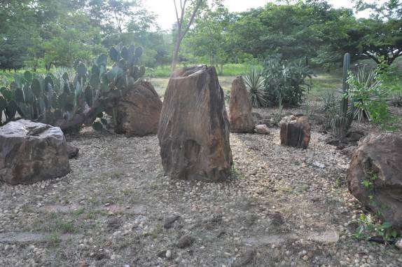 A Floresta Petrificada, em Teresina - PI